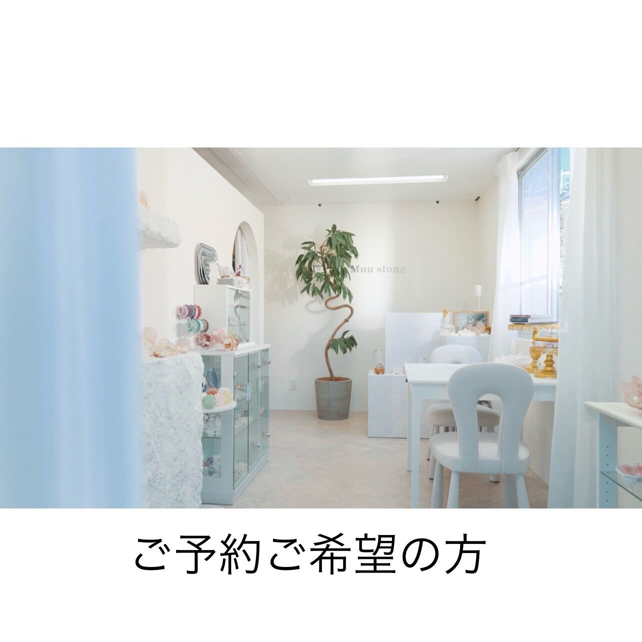 テレビやメディアに