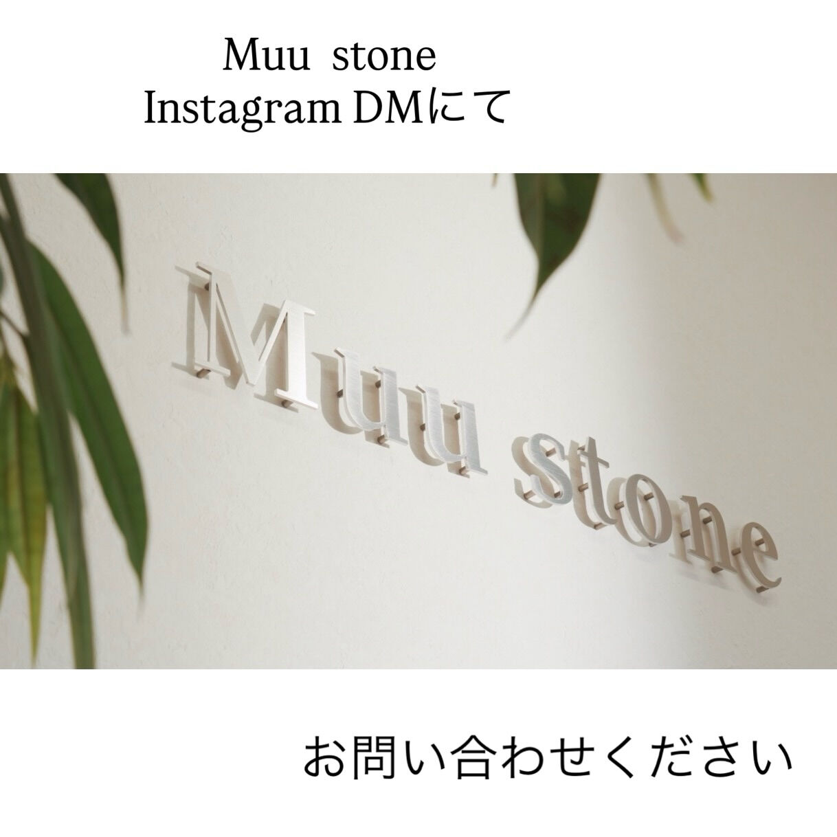 テレビやメディアに
