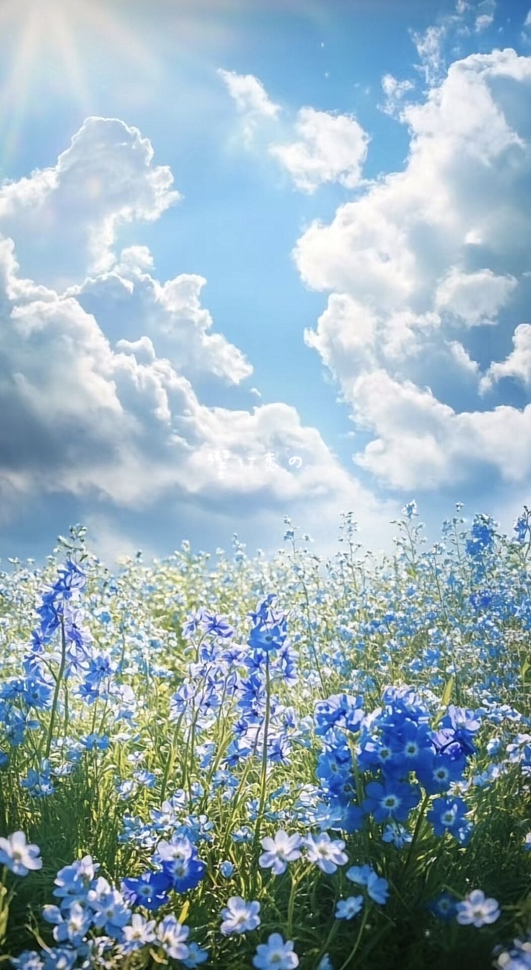むくみケア