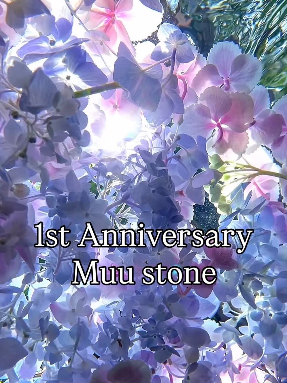 1周年記念