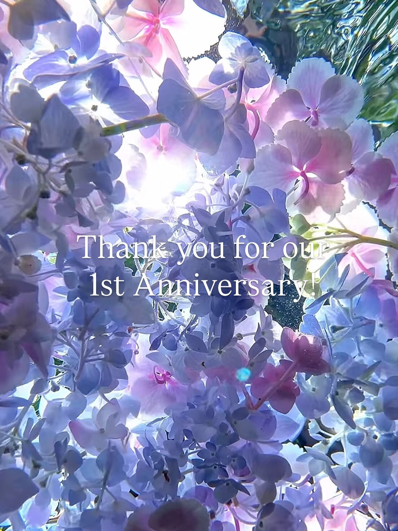 Thank you for our 
