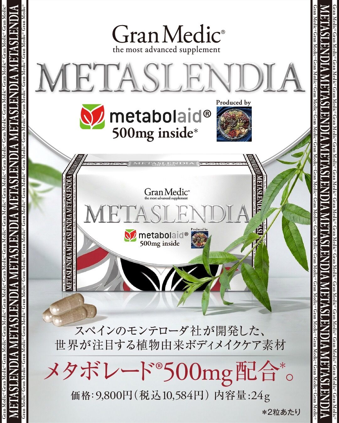【メタスレンディア】販売店になります