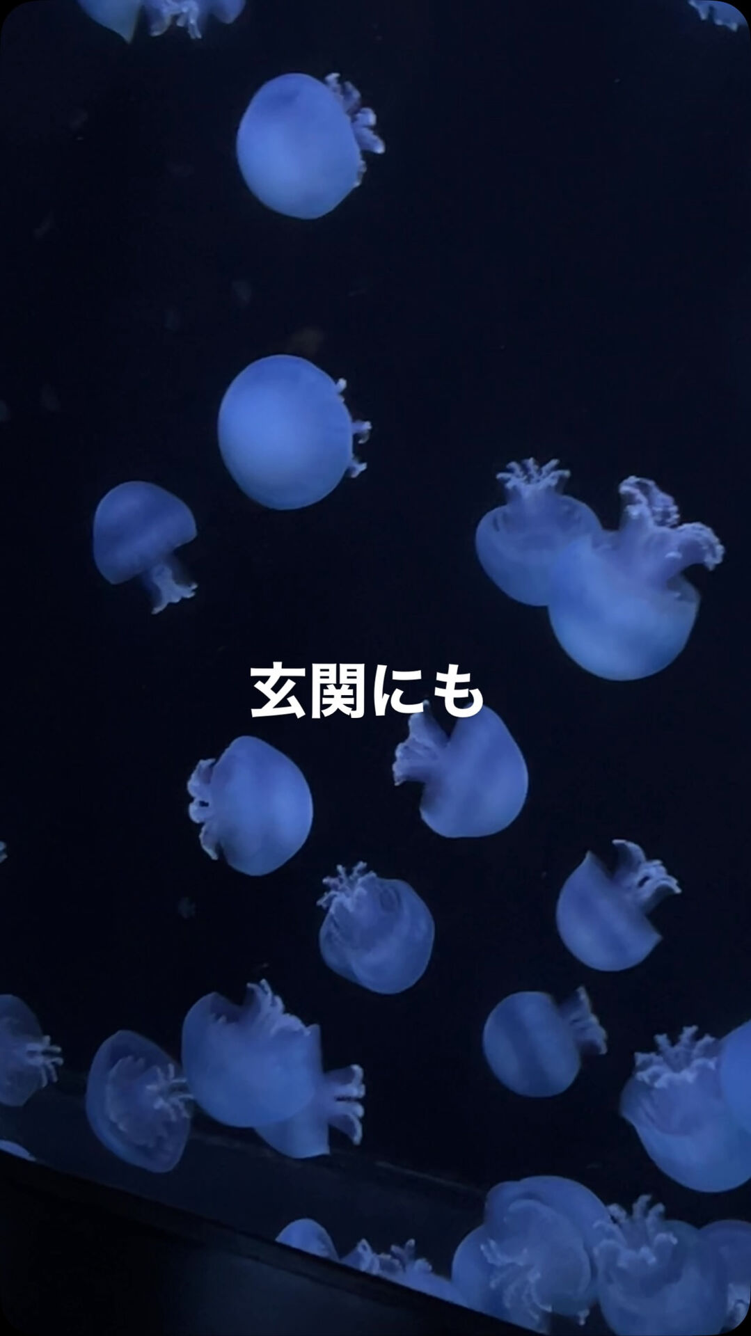 ⁡