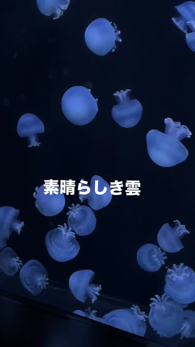 ⁡
