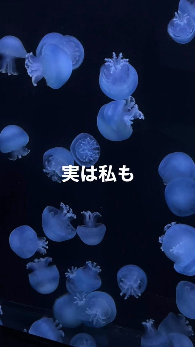 実は私も、最初は