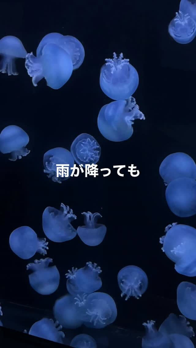 たとえ